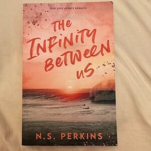 The Infinity Between Us book